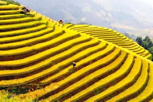 SAPA 3 DAYS 2 NIGHTS – 1 NIGHT IN HOTEL AND 1 NIGHT IN BUNGALOW
